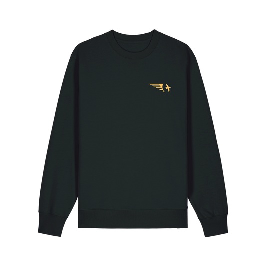 PSB Last Flight Sweater